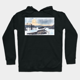 Winter day Hoodie